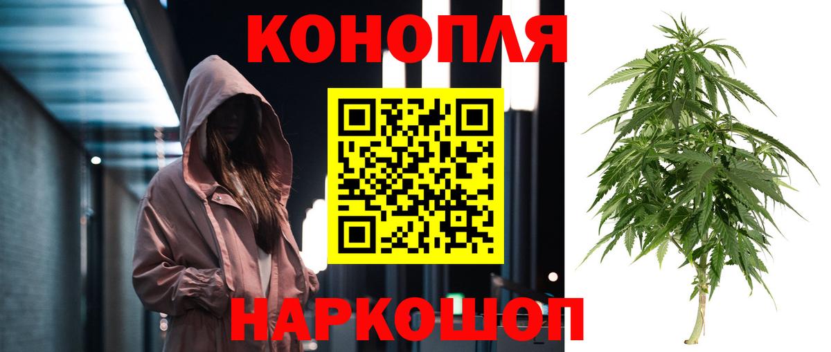 Каннабис OG Kush Мариинск